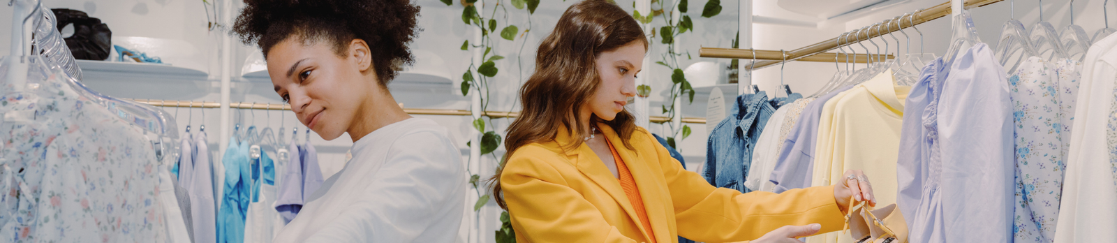 Special Offer Banner