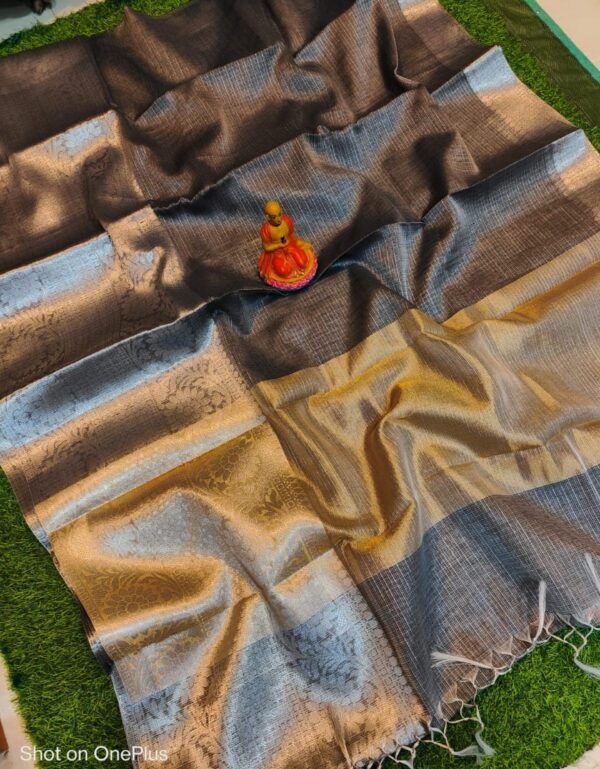 Elegant Handcrafted Banarasi Kota Tissue Saree in Grey