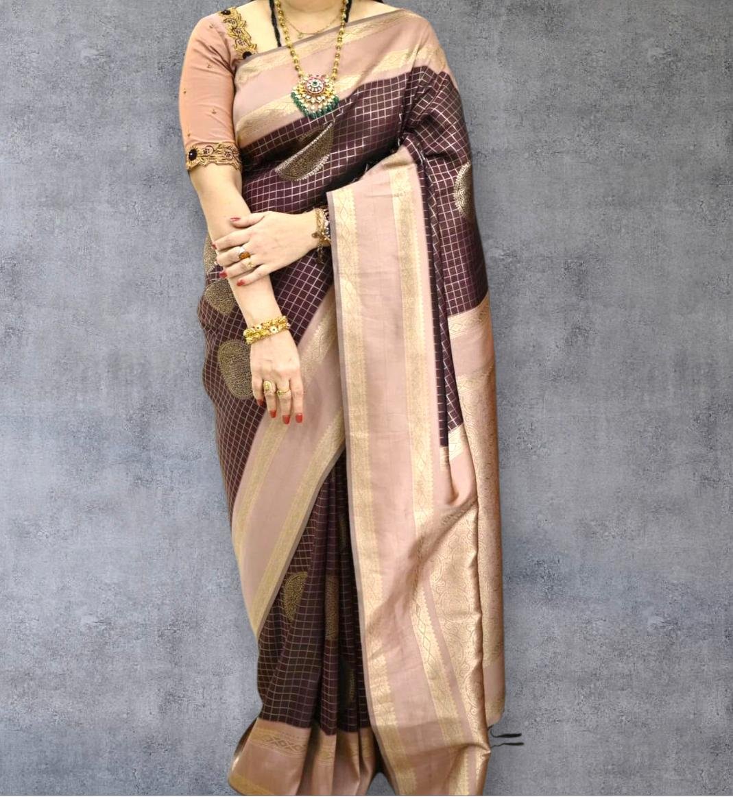 Dupion Silk Brown Saree