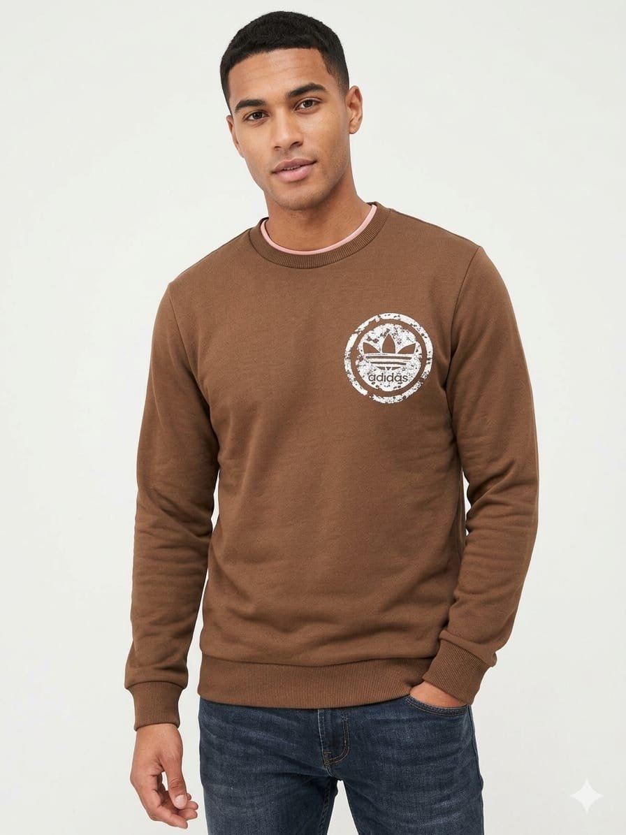 Mens sweatshirts brown